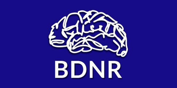 BDNR 2019