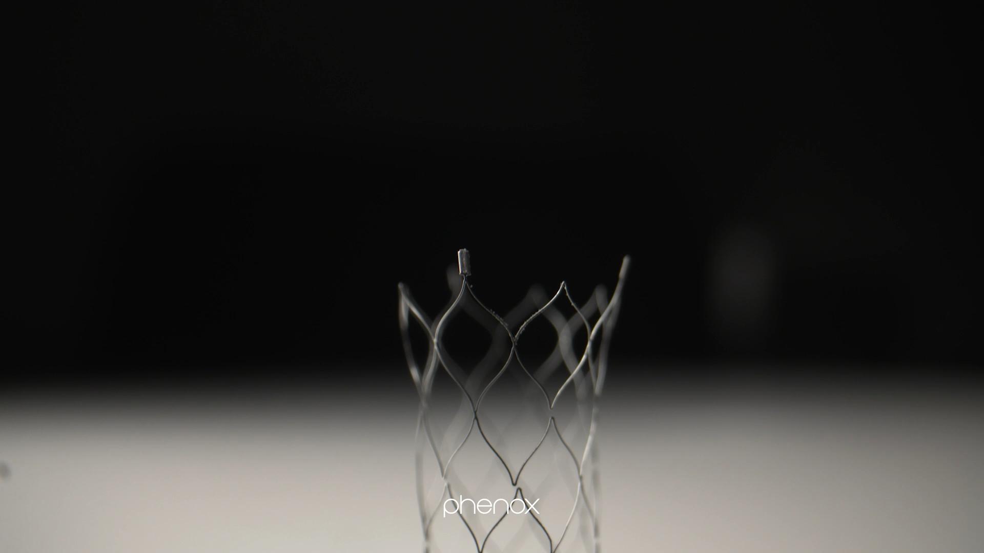 International | phenox