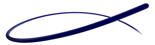 phenox pORTAL 14 Hydrophilic Steerable Guidewire for stroke treatment access